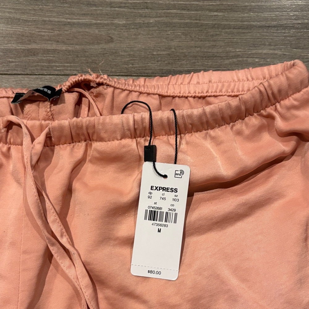 Express Blush Drawstring Pants - Picture 2 of 2